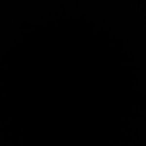 Meet your Posher, Adrian